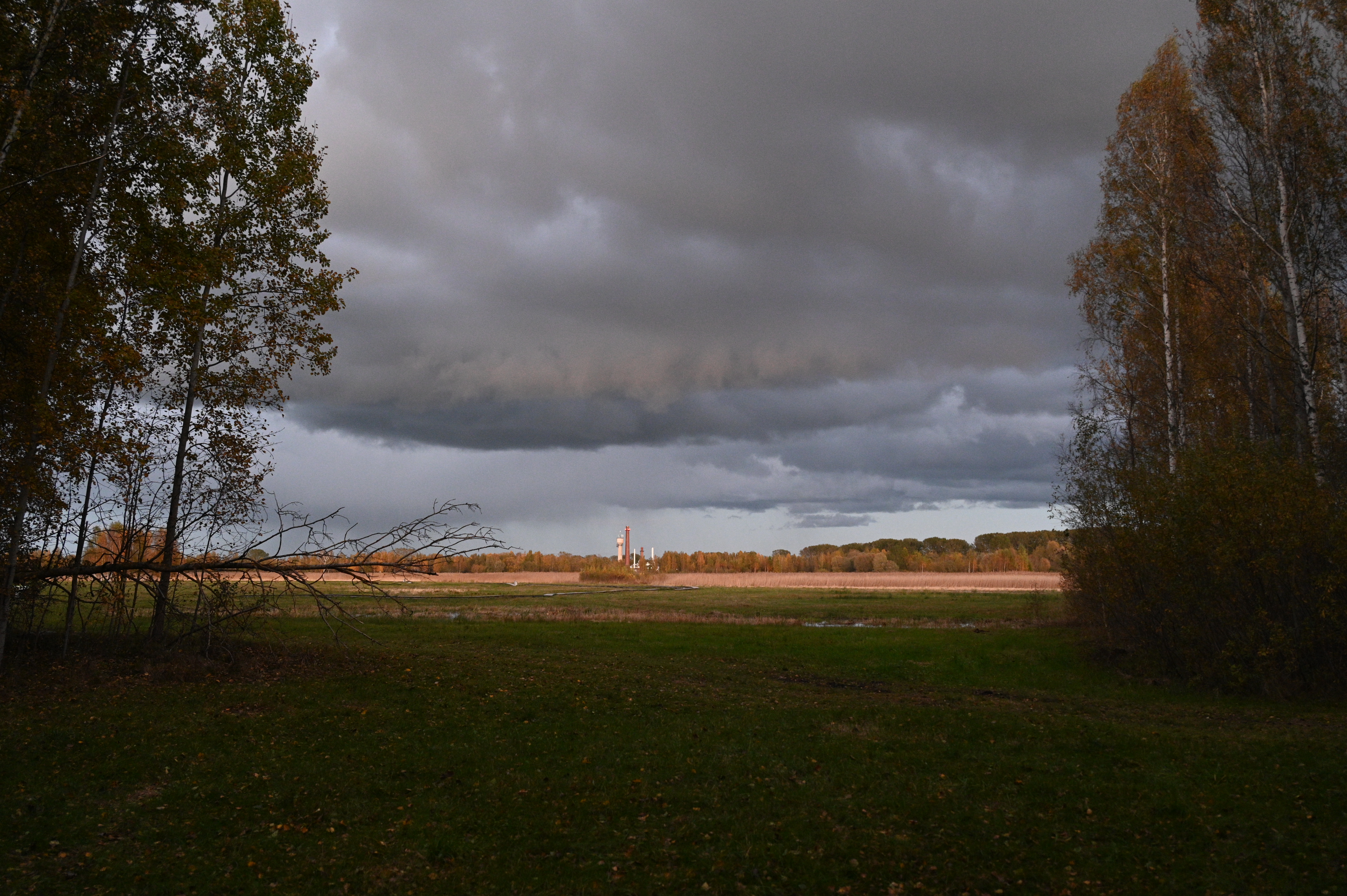 2025/10/18 - walk/DSC_0590.JPG